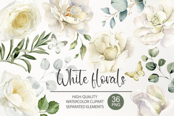 Watercolor White Rose Flower Clipart PNG: An Elegant Floral Set